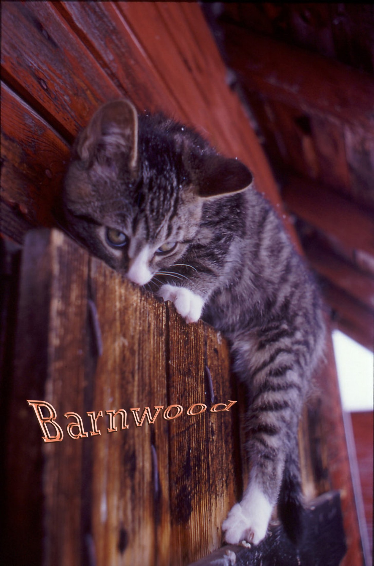 So You Think That's Funny